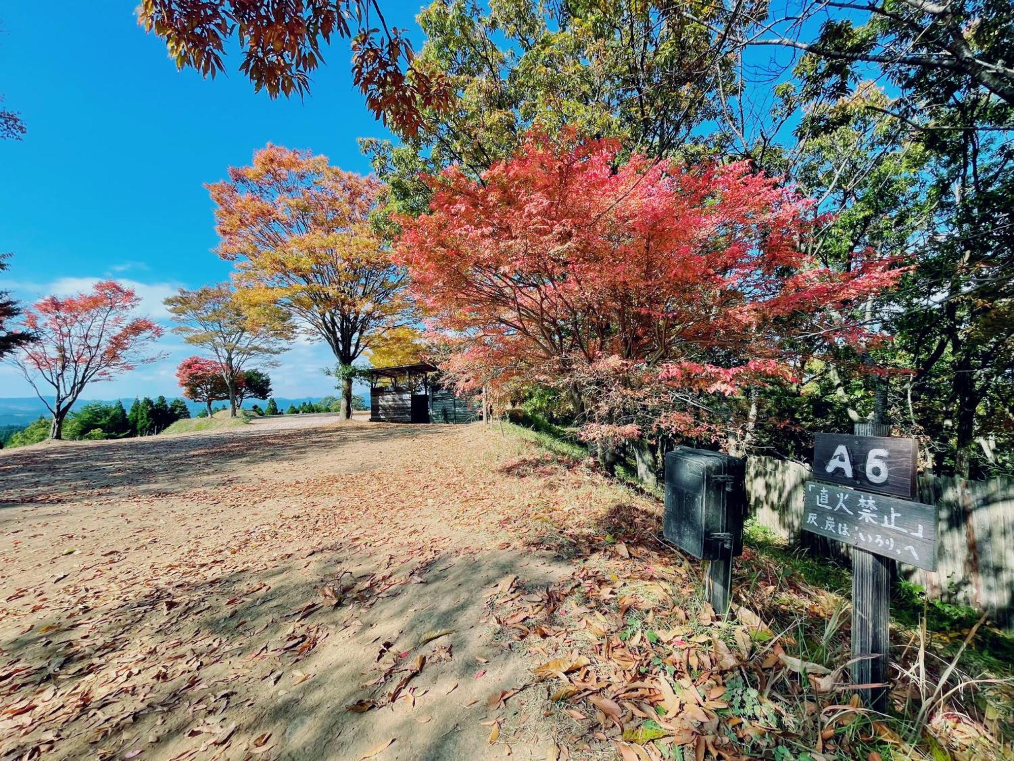 Villa Kurasako Onsen Sakura Minamioguni Exterior foto